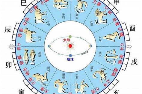 地支怎麼看|八字算命基礎——天干地支